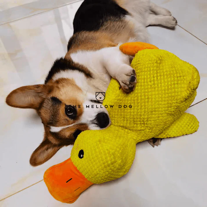 Calming Duck Dog Toy – Quacks, Chewable & Boredom-Relief