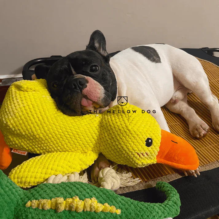 Calming Duck Dog Toy – Quacks, Chewable & Boredom-Relief