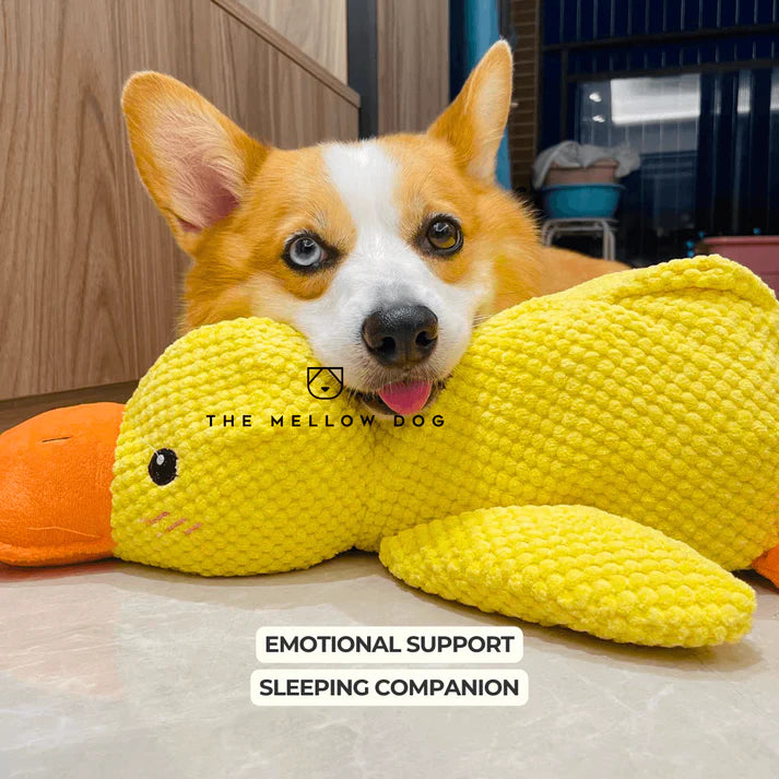 Calming Duck Dog Toy – Quacks, Chewable & Boredom-Relief