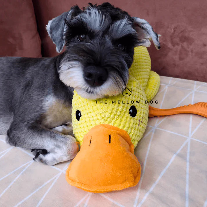 Calming Duck Dog Toy – Quacks, Chewable & Boredom-Relief